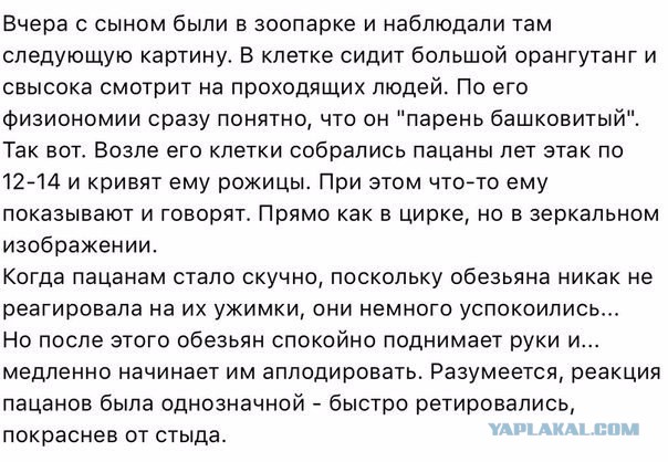 Разные картинки