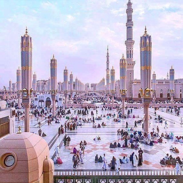 Моменты, запечатлённые на фото и просто позитив 5