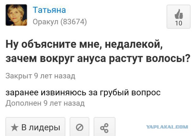 Игрушки из шерсти моей супруги