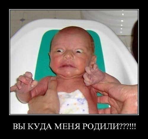 Соцсети - и смех и грех