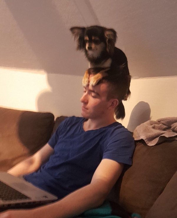 Немного фото для поднятия настроения
