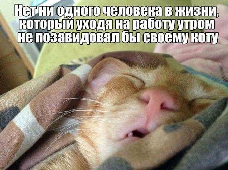Пятничные ШутЯПки