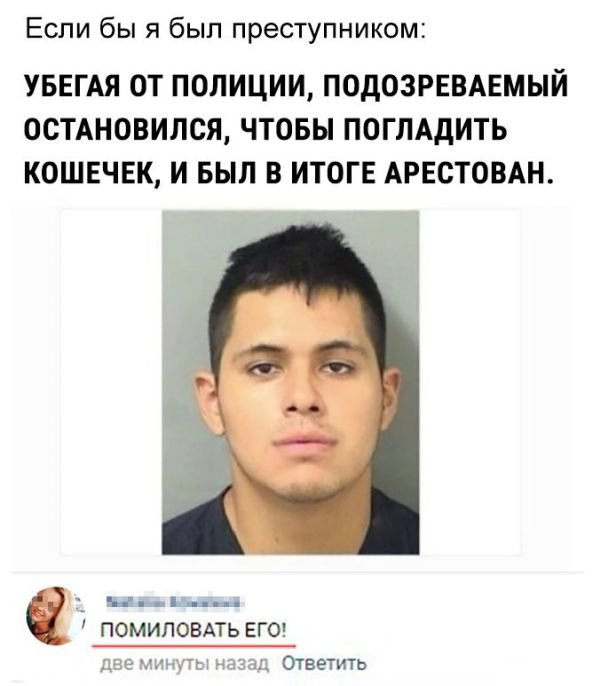 Надписи от тех, кто точно знает, как приковать наше внимание