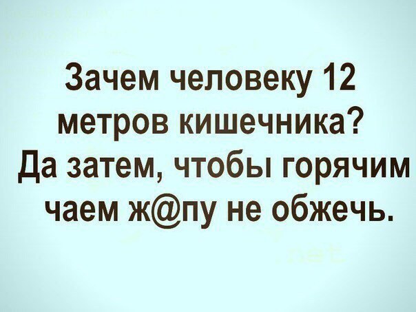 Нестандартный юмор