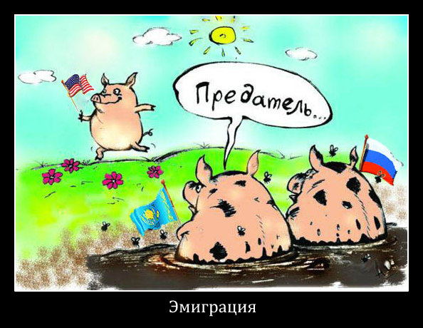 31% молодежи хочет эмигрировать из России