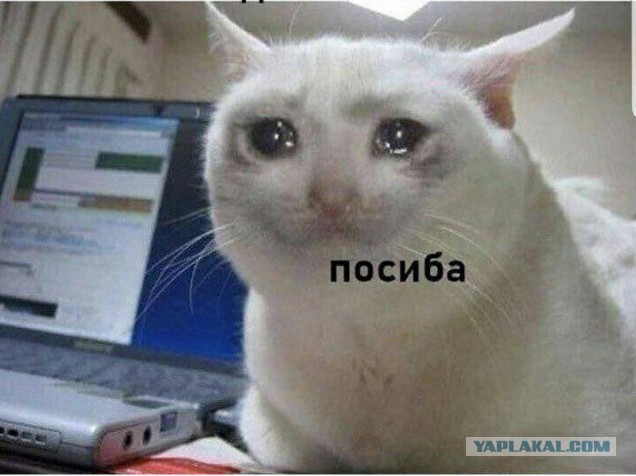 Картинки юморные и тексты 30.10