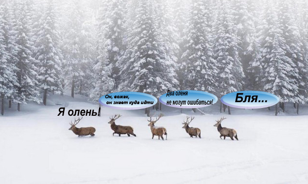 Подборка интересных и веселых картинок 22.01.19