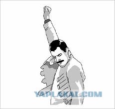 Ох уж эти коты :3