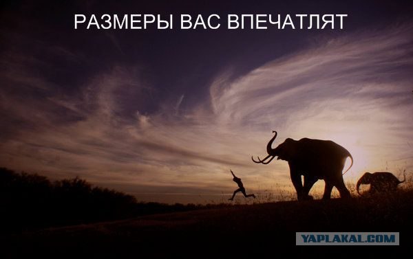 Фантазии на тему рекламы в интернете