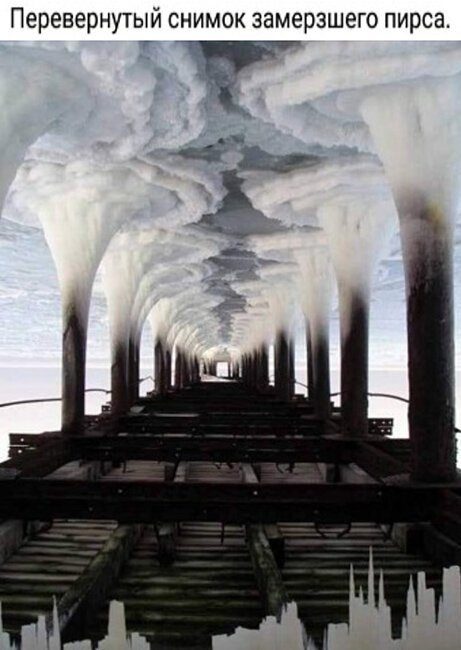 Кретинки