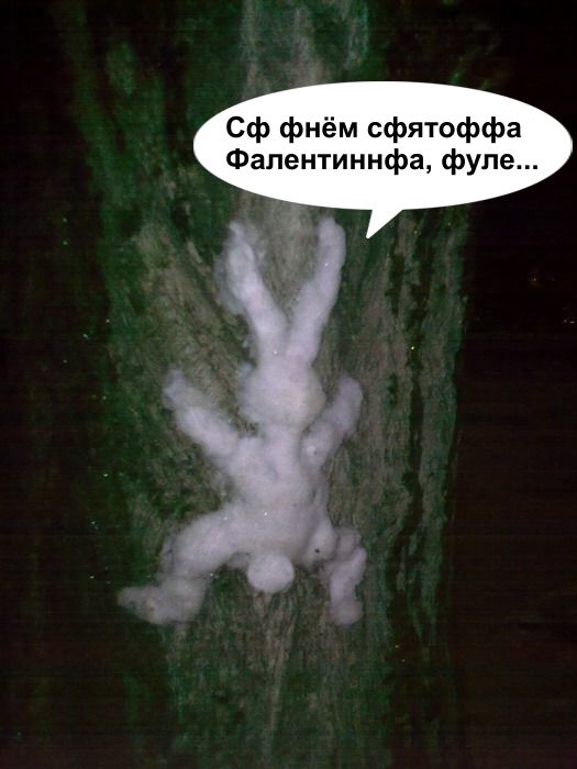 Кто мы на форумах?