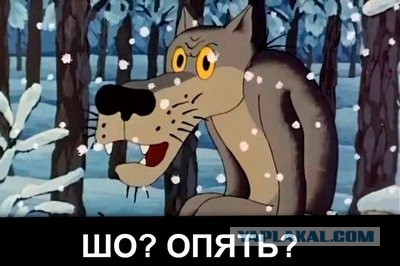 В США задумались об антироссийских санкциях из-за цен на нефть