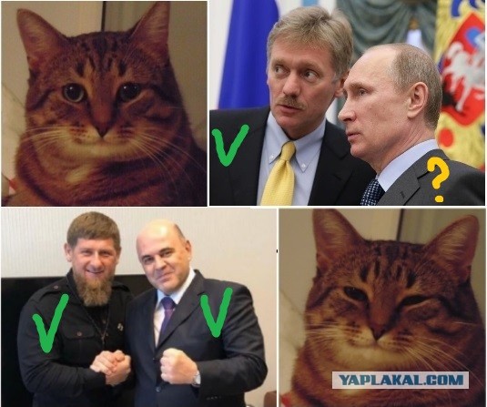Кадыров экстренно госпитализирован в Москву на самолете