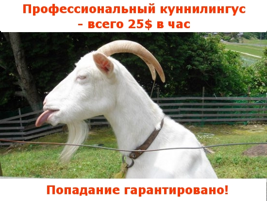 Коза с языком: А вот вам!