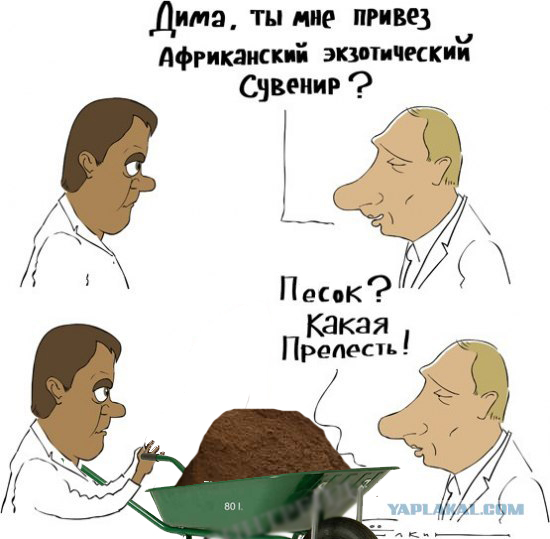 Экзотический сувенир