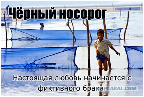 Фотожаба: Создаём свой альбом
