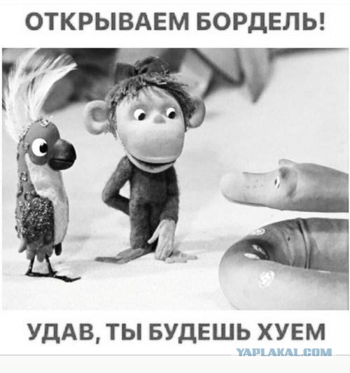Картинки с надписями и всякие жизненные фразы