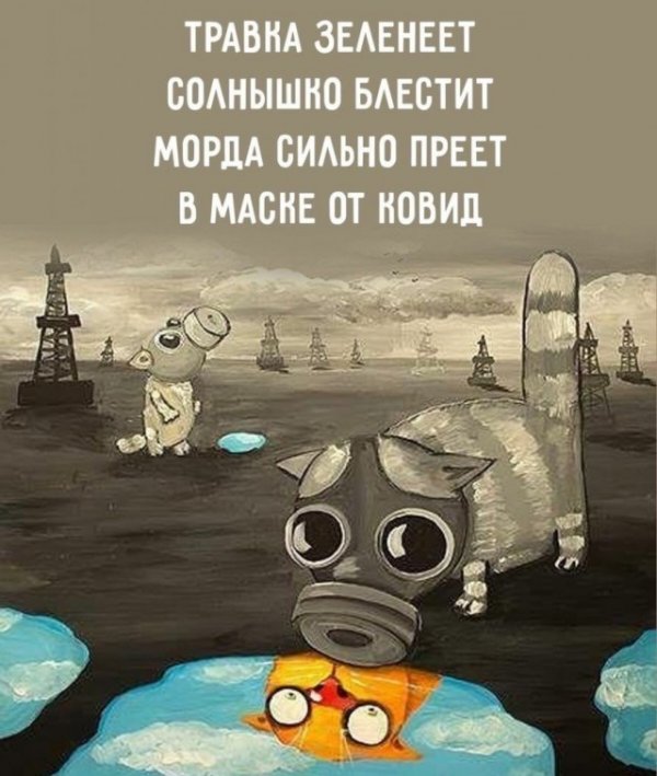 Прикольные и просто красивые картинки 08.12.2020
