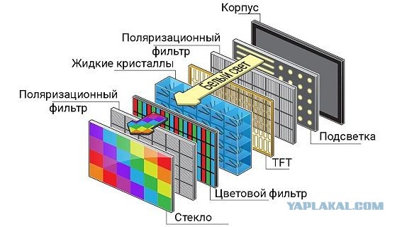 1 февраля вступает в силу закон против мата