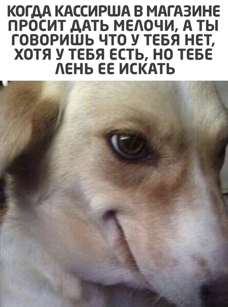 Разные картинки 01.02.2021