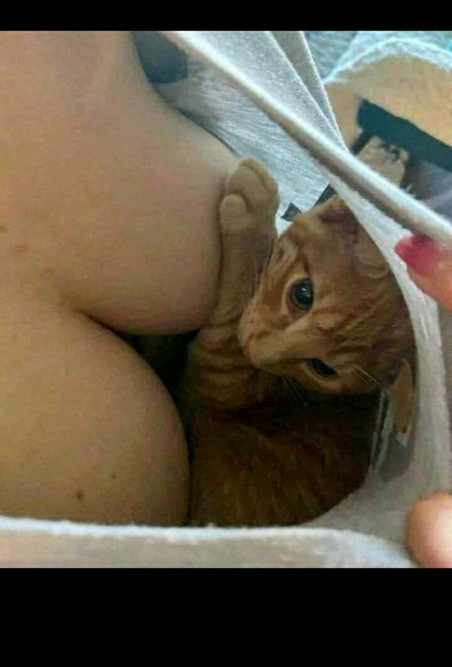 Немного картинок с надписями и без - 28.02.21