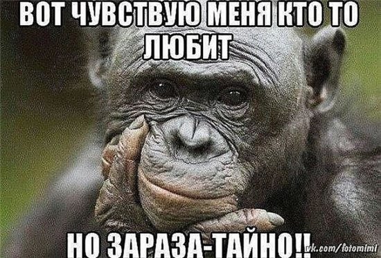 Весёлый полтишок 17.03
