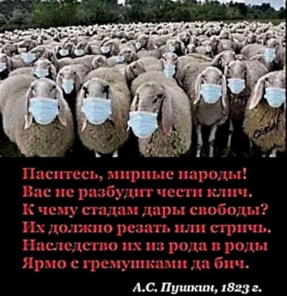 С началом вакцинации заболеваемость и смертность от ковида сильно выросли почти во всех странах