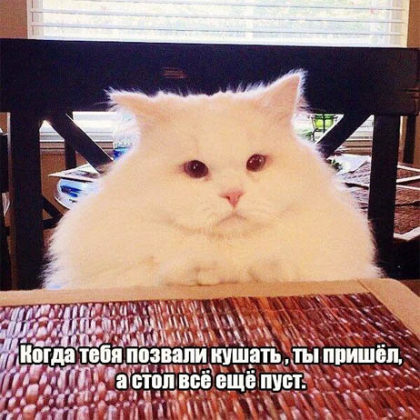 Баянисто-небаянистый юмор 6.12.21
