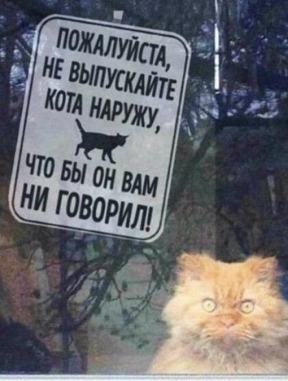 Так себе картинки 16.02.22