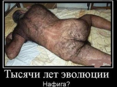 Эволюция