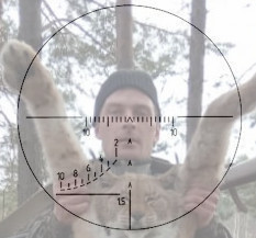 Заяц