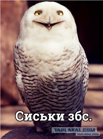 Просто Дуняша
