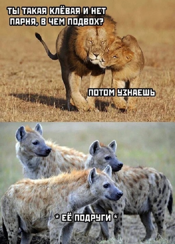 Так себе картинки 10.05.22