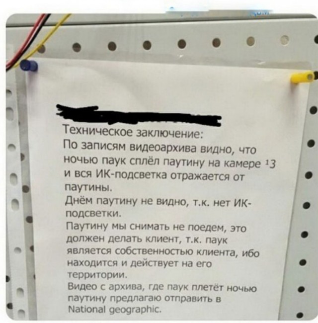 Так себе картинки 05.07.22