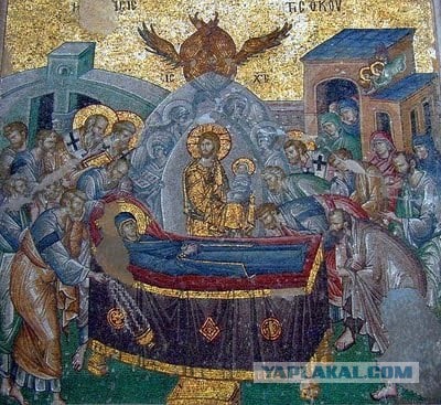 Пандемия съехавших крыш - разновидности болезни. Россия и мир. Часть 40.