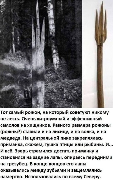 Немного картинок для настроения - 114