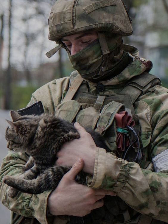 Прикольные и просто красивые картинки 23.02.2023