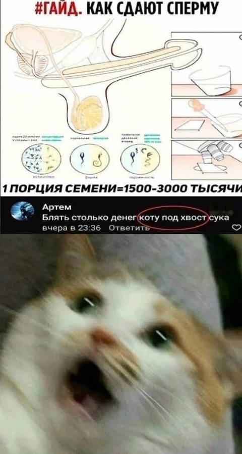 #9. Закрываем зиму