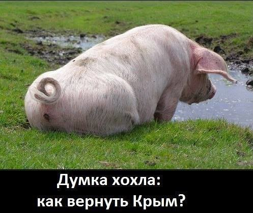 Путешествие в Крым, сентябрь 2022 г.