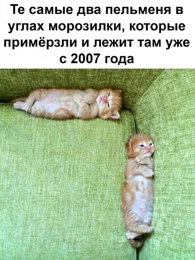 Картинки и мемы, это май-чародей всяко разно - 177