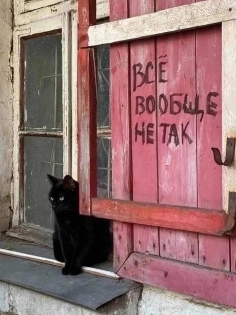 Жена собралась разводиться! Часть 2