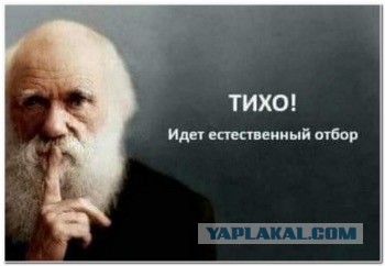 В Пензе ухажер убил несовершеннолетнюю девушку: он столкнул любимую в лестничный пролет