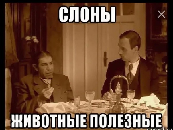Дай банан