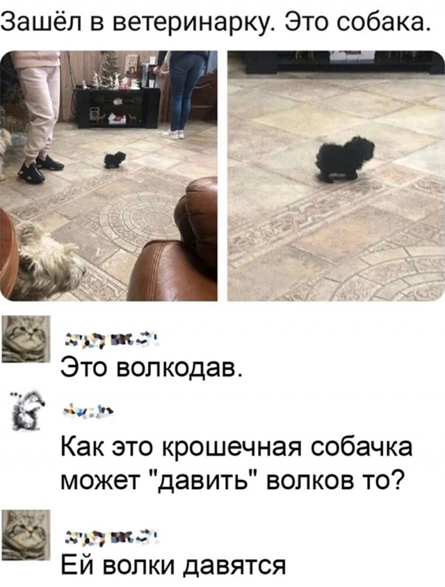 Немного картинок и прочей хреноты Vol. 25