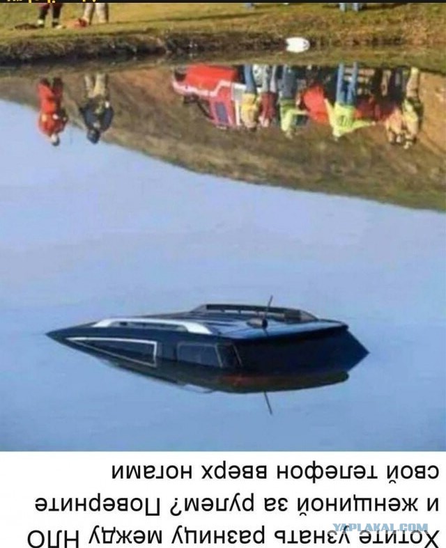 Картинок подвезли