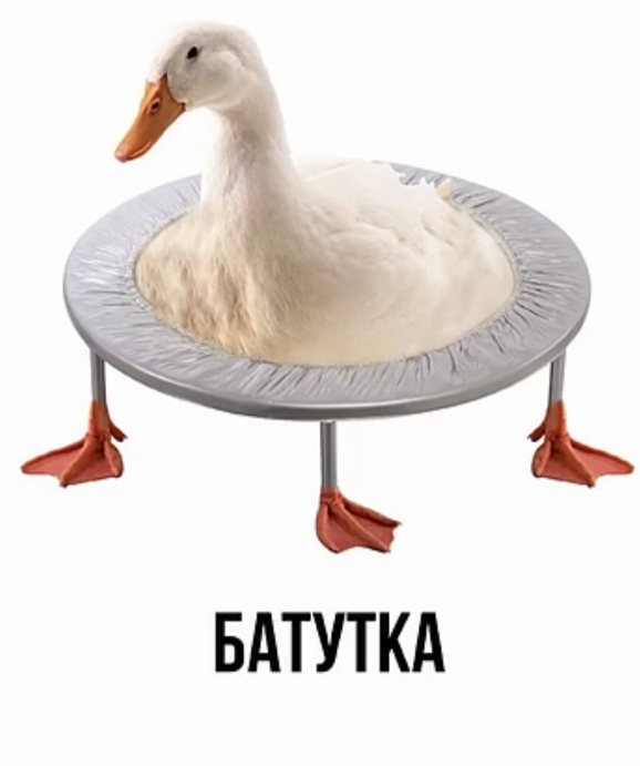 Никакие картинки