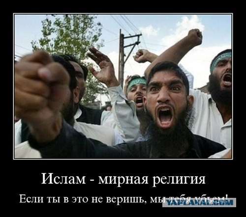 «Кадырова критикуют только враги русского народа!»