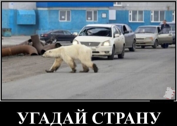 Так себе картинки 17.10.24