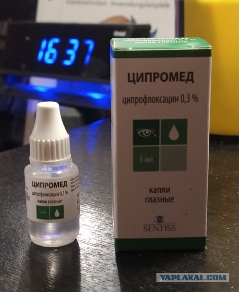 Депутат Журова о росте курса доллара: "Как молоко может подорожать из-за того, что доллар вырос?"