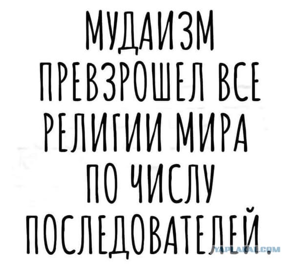 Забавные картинки, шутки из этих ваших интернетов